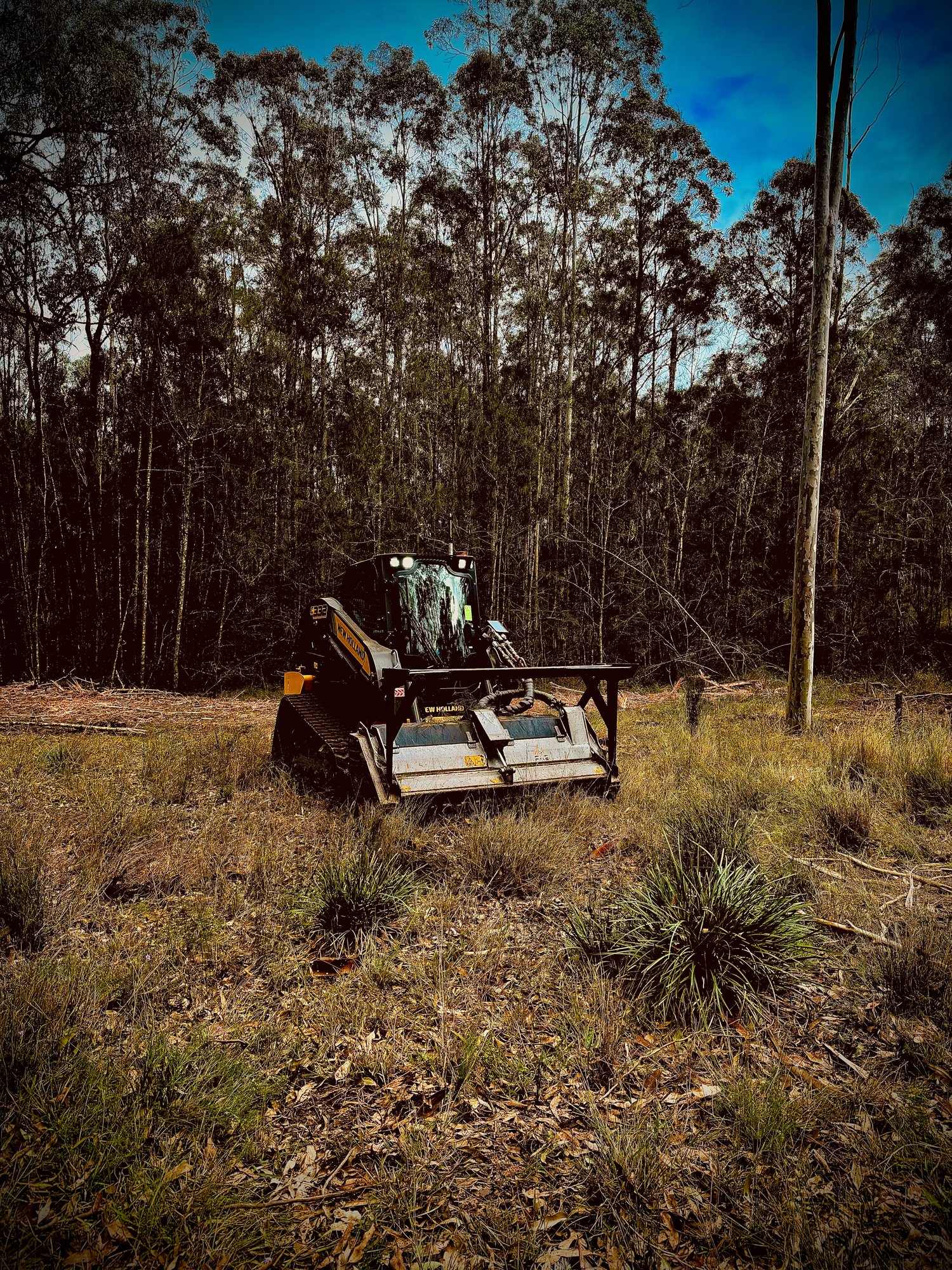 Dynamite Plant HIre recent work
