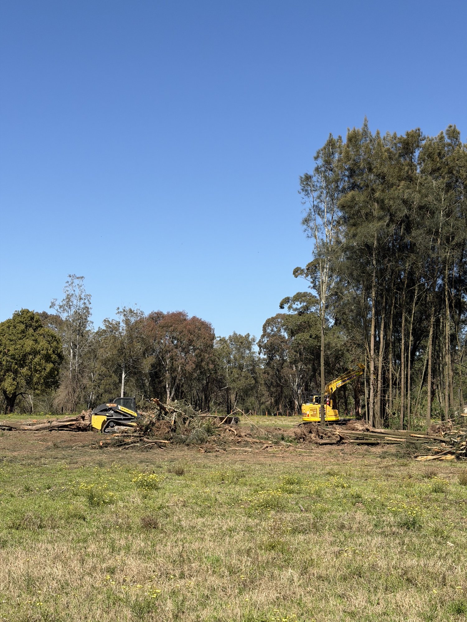 Dynamite Plant HIre recent work